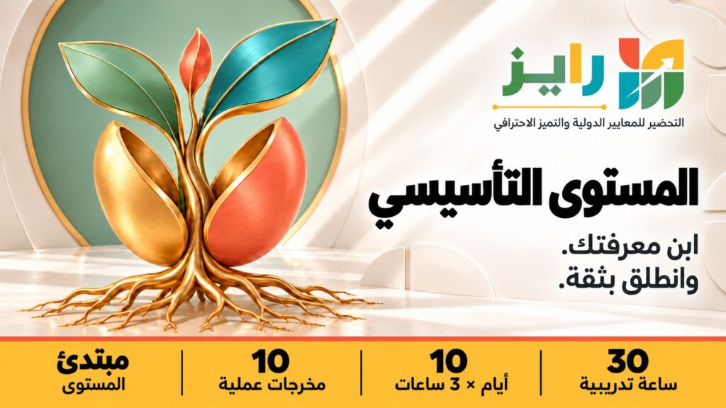 رايز – المستوى التأسيسي (RISE Foundation)